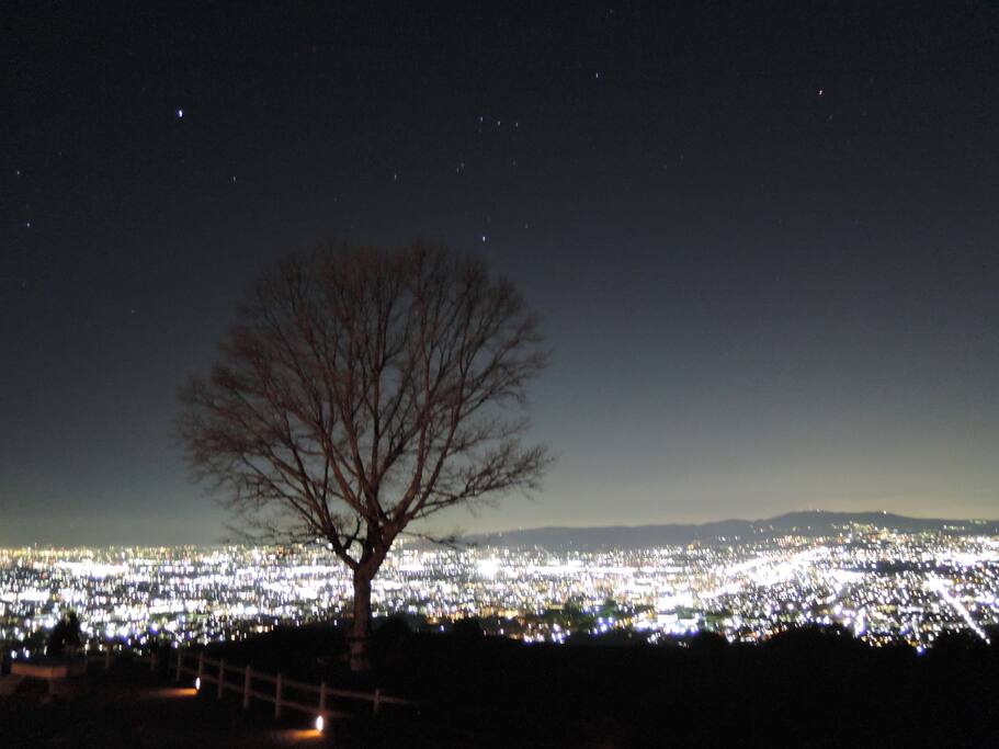 Top of Mt.Wakakusa
(night view spot)