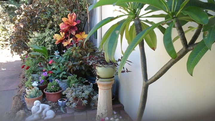 Cozy one bedroom unit close to Town and Beaches.