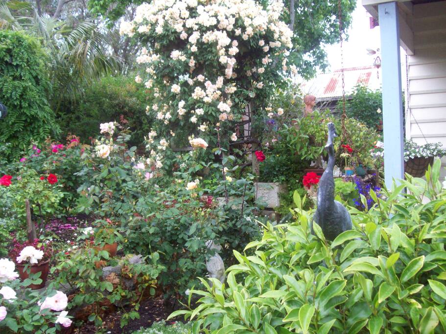 Garden setting