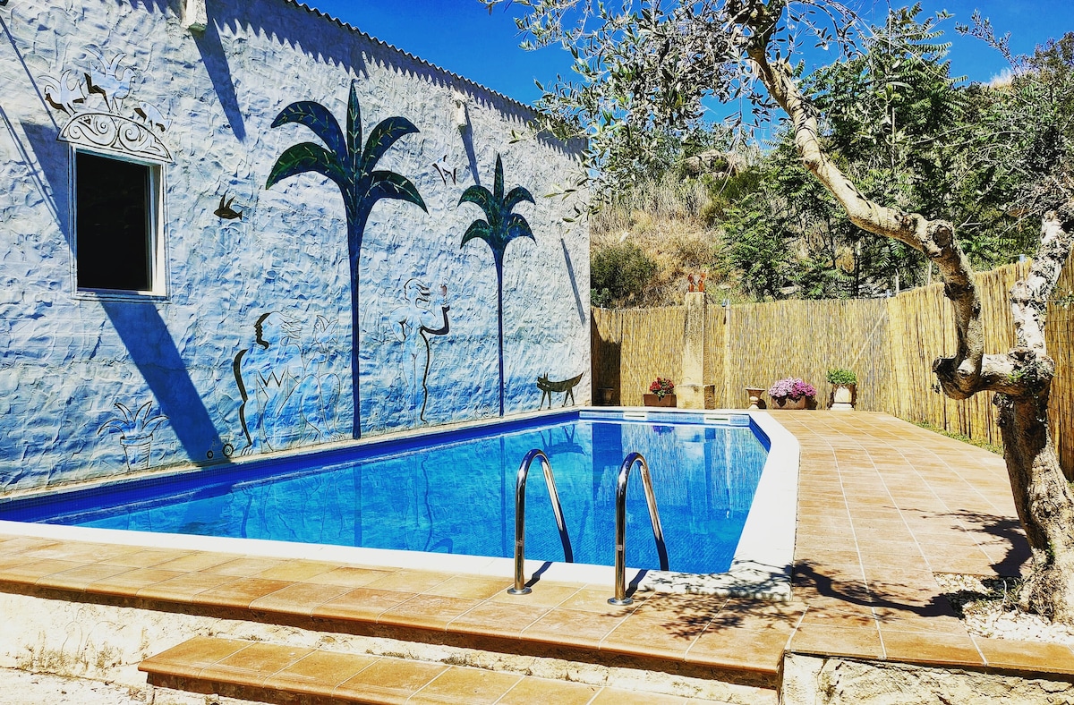 A private swimming pool is framed by a sunlit patio, featuring decorative tiles and access steps. A colorful mural of palm trees adorns the adjacent wall. Lush greenery and flowers surround the area, creating a serene outdoor setting.
