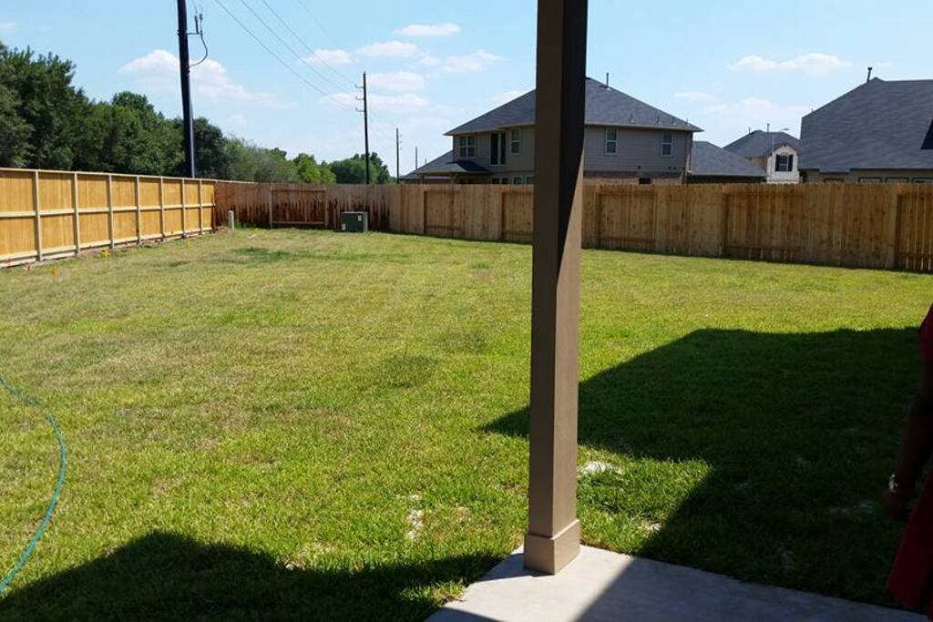 Backyard