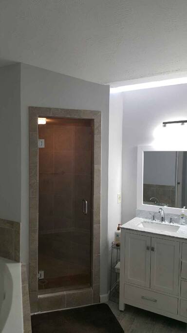 Private master frameless shower