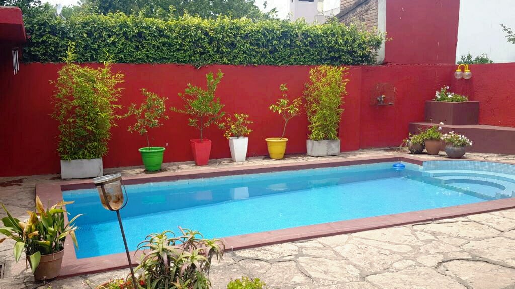 A refreshing swimming pool is surrounded by red walls and several potted plants. The clear blue water reflects the sunlight, while the stone patio adds a natural touch to the vibrant outdoor space.