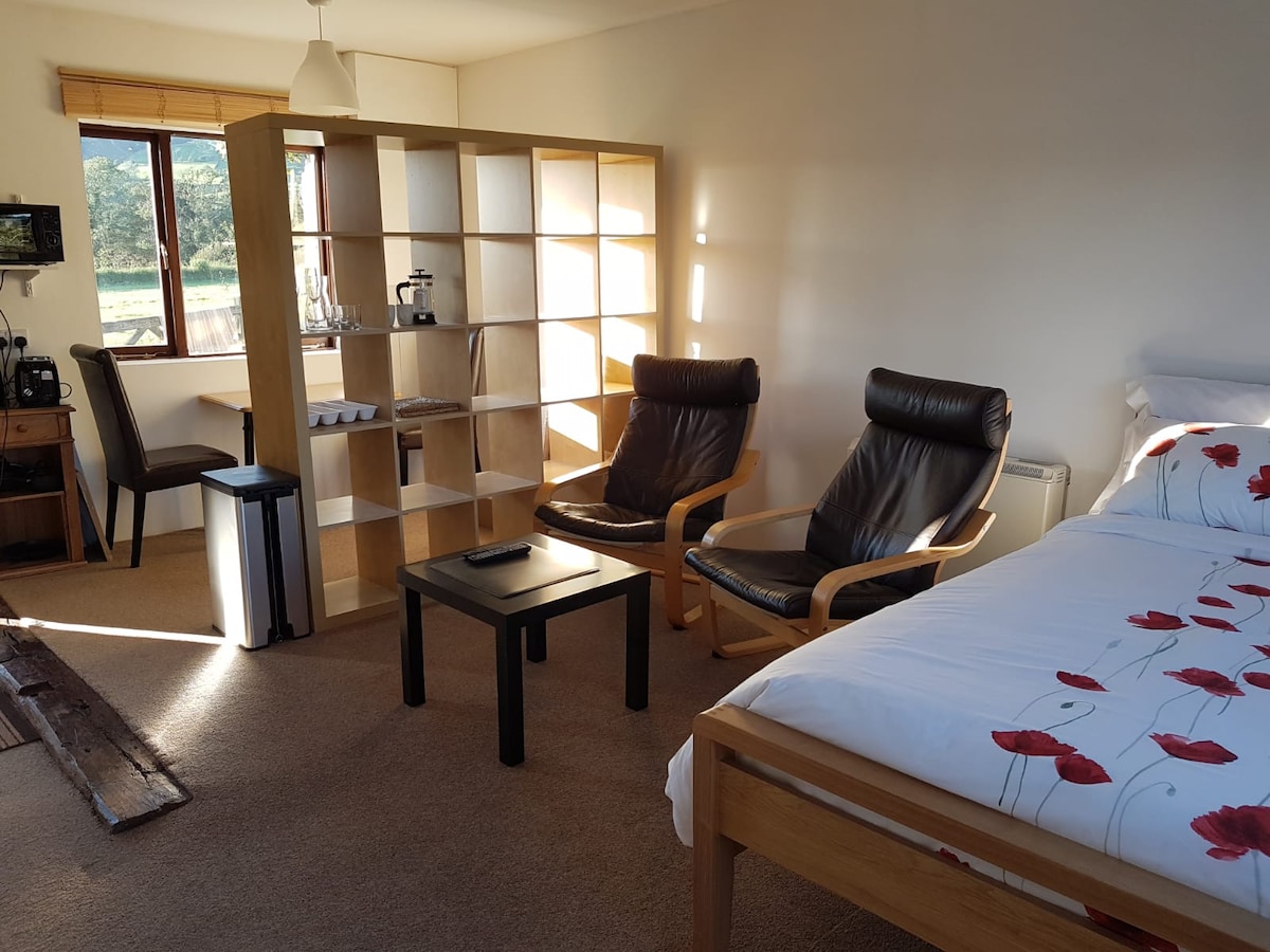 A spacious studio area features a king-sized bed with floral bedding, two leather armchairs, and a small black table. A wooden shelving unit separates the seating area from the kitchen space, where light streams in from large windows, showcasing the outdoor views.