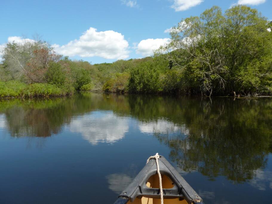 Canoeing on the lake