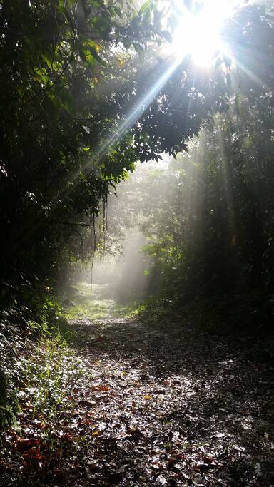 The road to our place