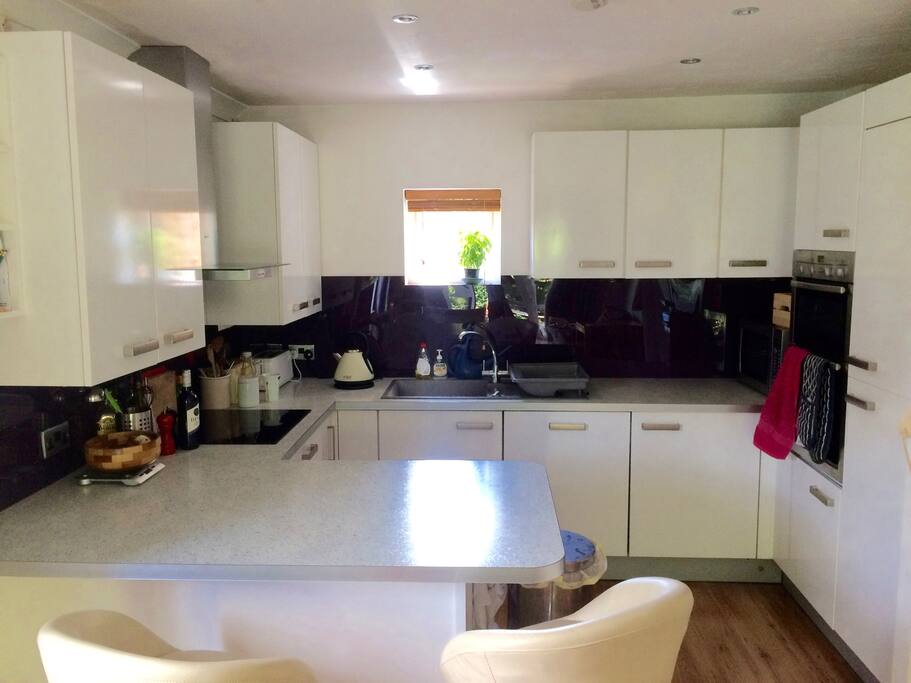 Modern kitchen. Your challenge is to keep the basil plant alive