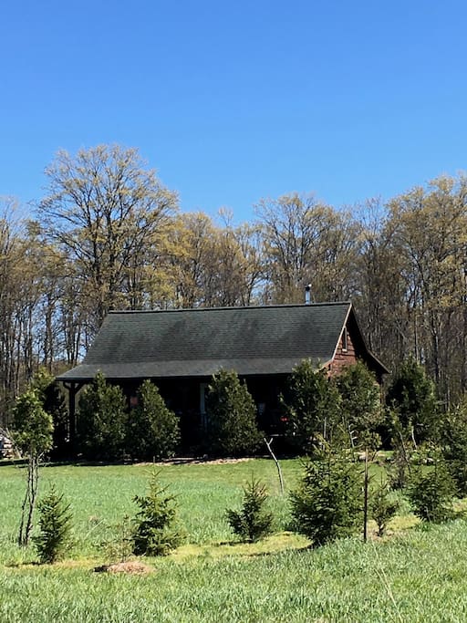 North side of house is wind protected by cedar trees.