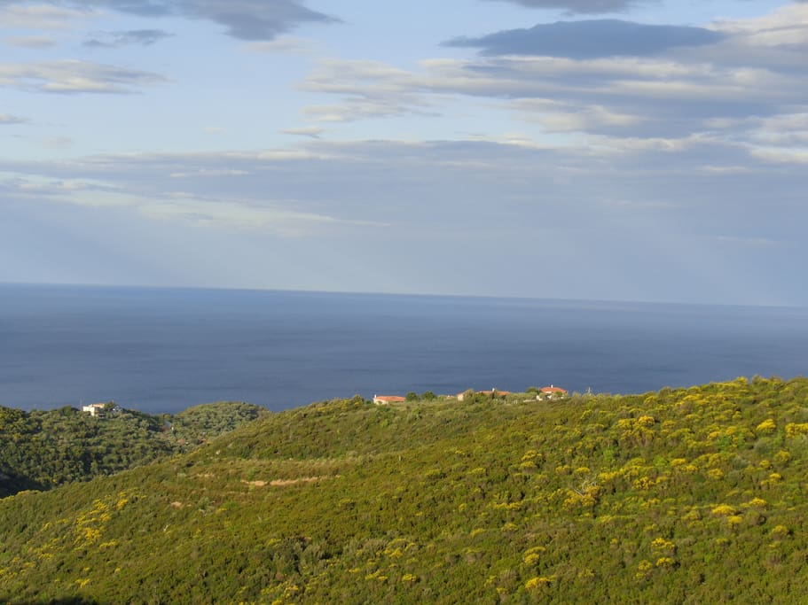 Sea views from the terrace