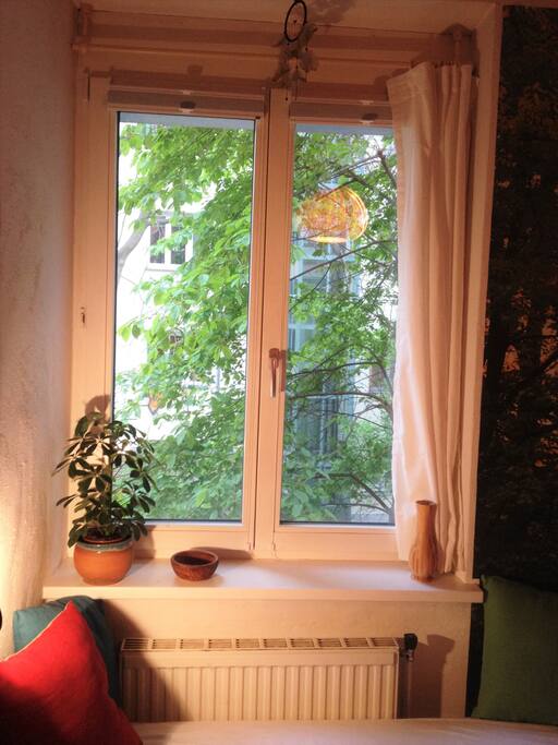 The window, u can see a bit of the cherry tree