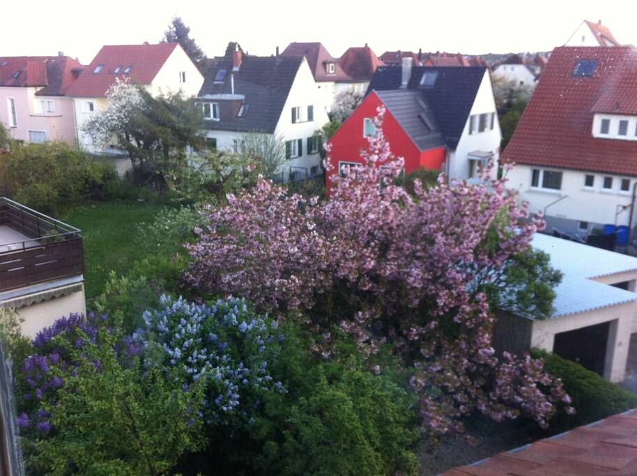 Blick aus der Küche und Bad