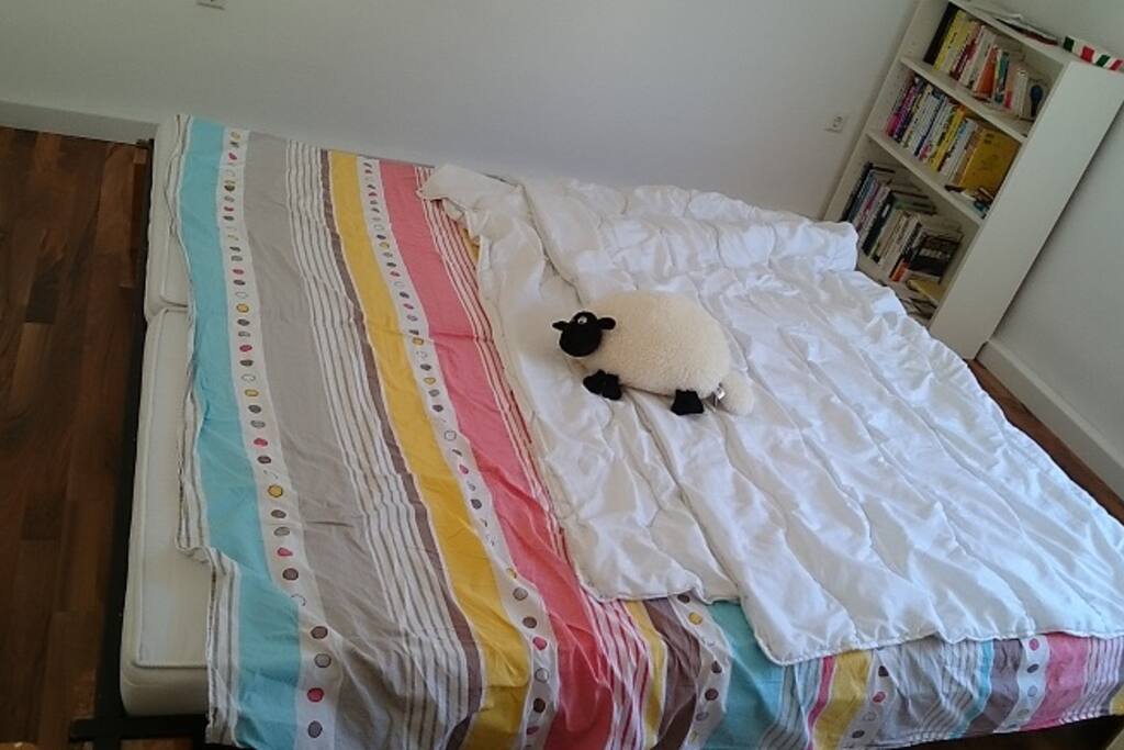 Bed room