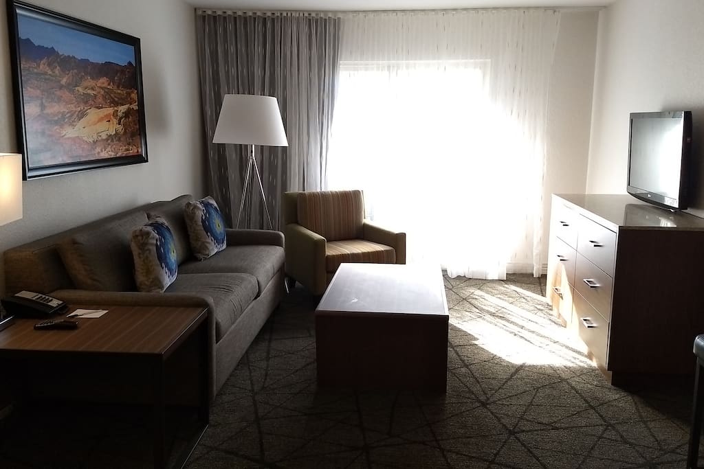 Living area with queen-sized sofa bed