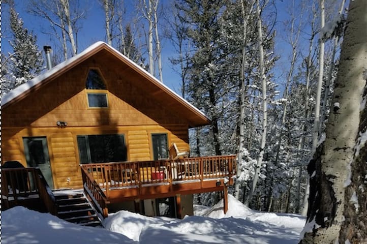 Airbnb Sapinero Vacation Rentals Places To Stay Colorado