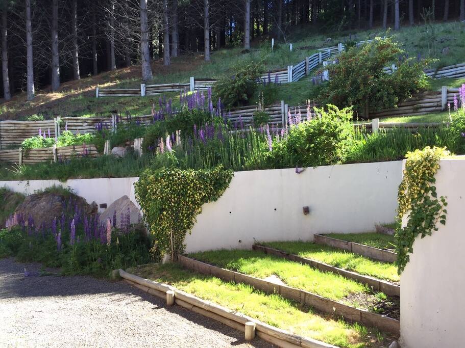 Jardin de atrás de la casa.
