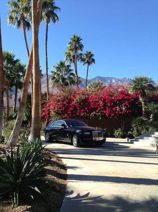 Front Driveway Looking to San Jacinto Mountain