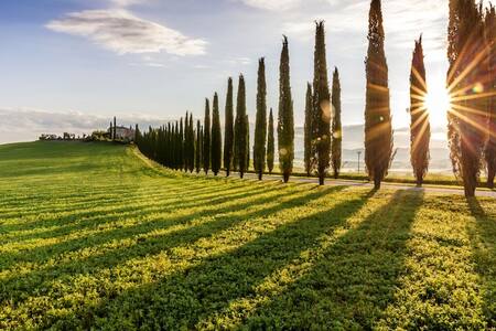 Chiusi Vacation Rentals Homes Tuscany Italy Airbnb