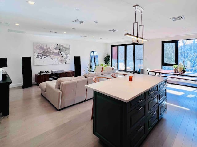 Luxury apt in the best location of E. Williamsburg