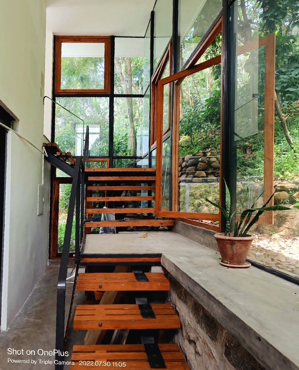 A modern staircase ascends between glass walls, allowing natural light to fill the space. Wooden steps are highlighted by black metal railing, and a small potted plant is positioned on a stone ledge next to the stairs, adding a touch of greenery to the setting.