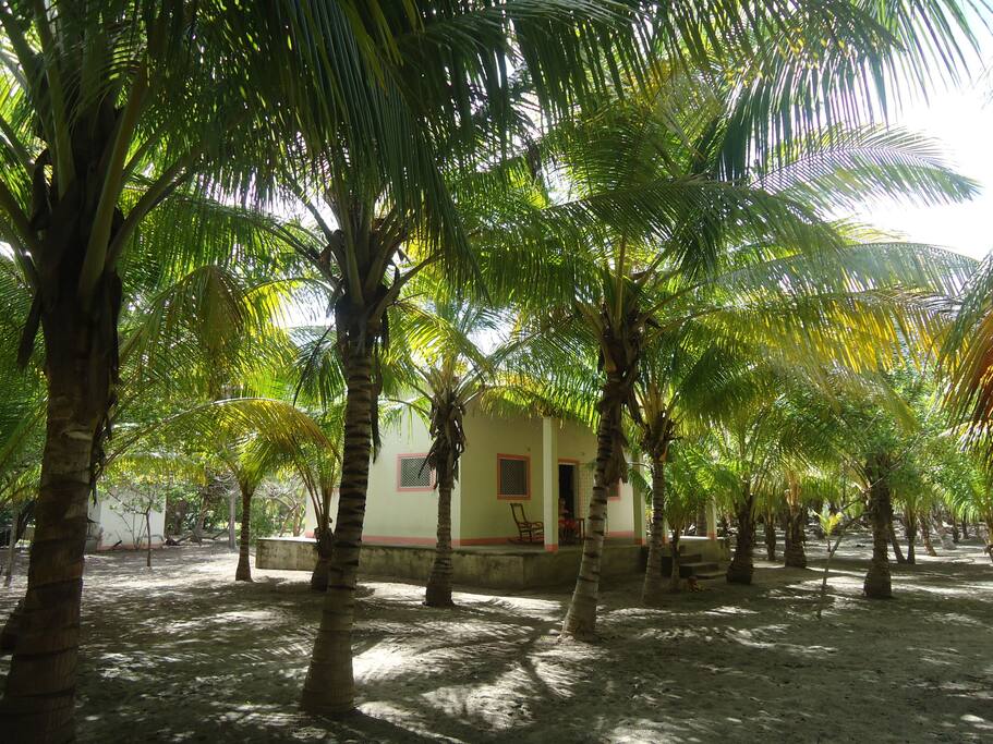 Property Garden ( 5 acres )