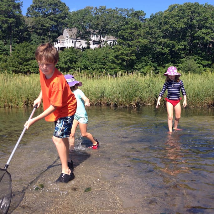Kids fishing and clamming on the waterfront