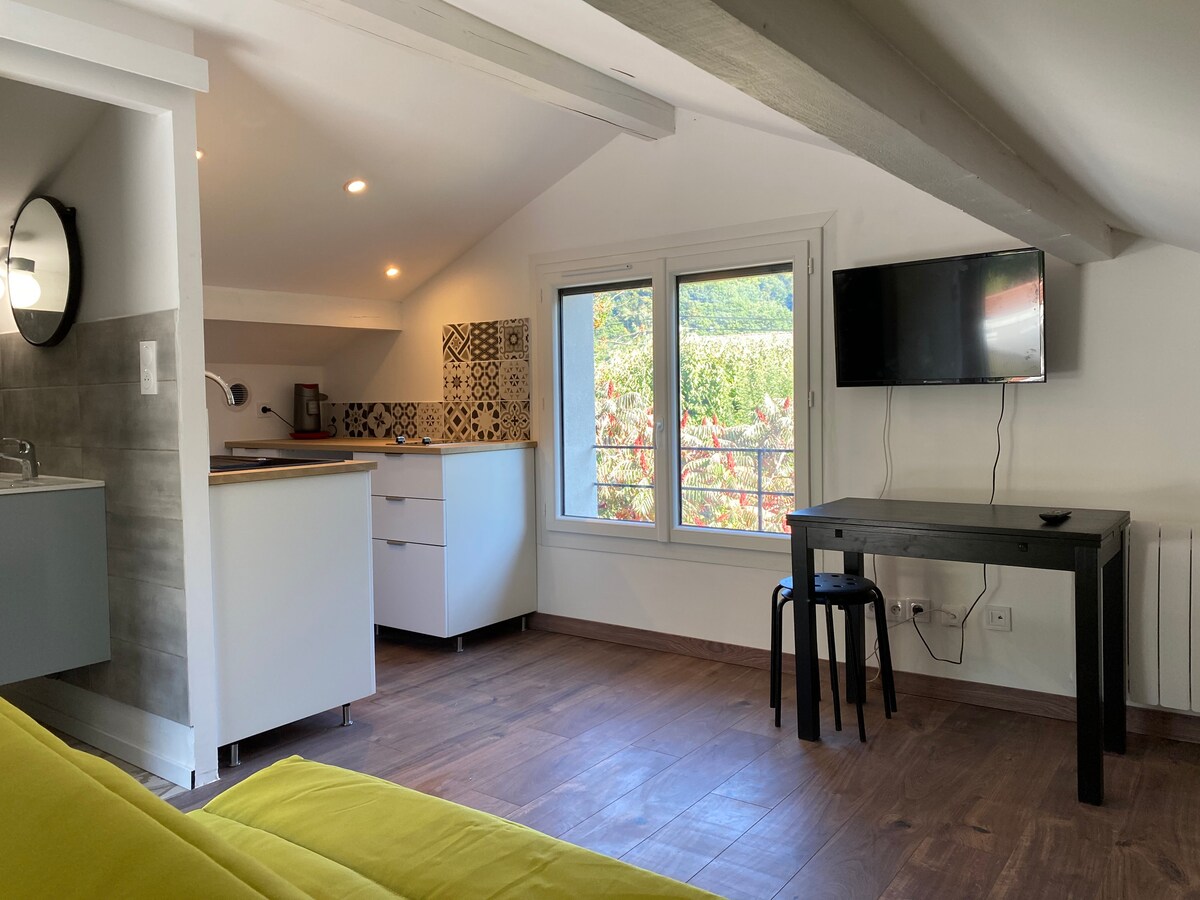 A bright studio features a compact kitchen area with modern appliances and decorative backsplash. A window offers views of greenery, while a flat-screen TV is mounted on the wall. A wooden table with a chair is positioned beside a cozy seating area, all set against warm wood flooring.