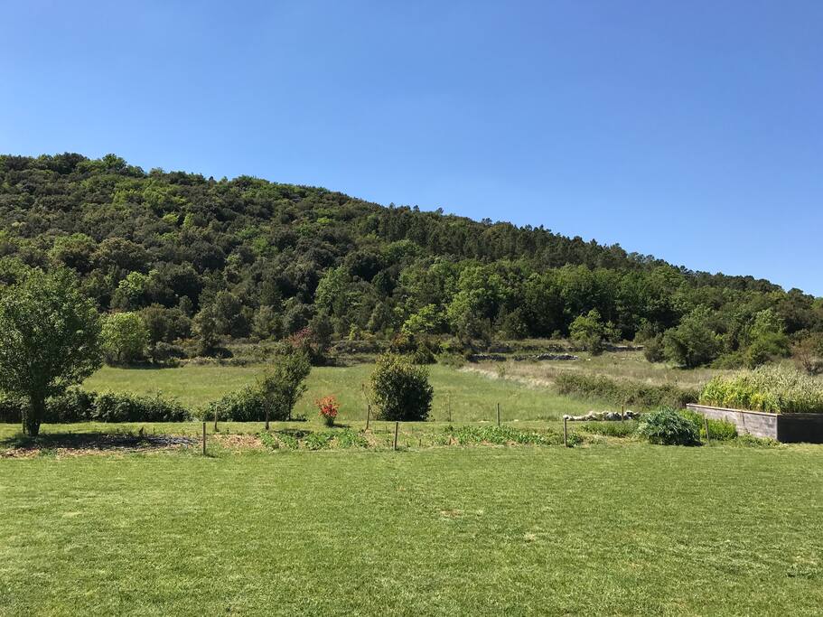le potager