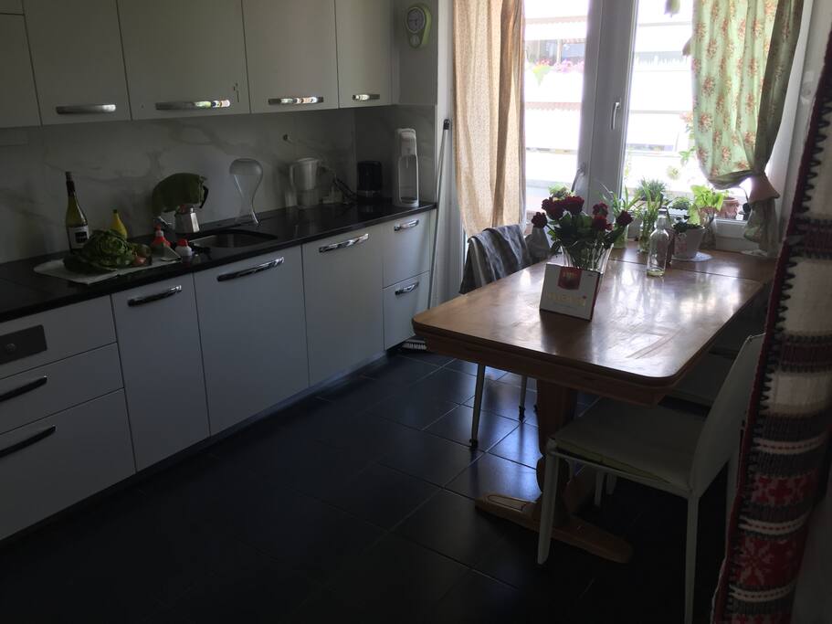 Kitchen, all imaginable necessities included