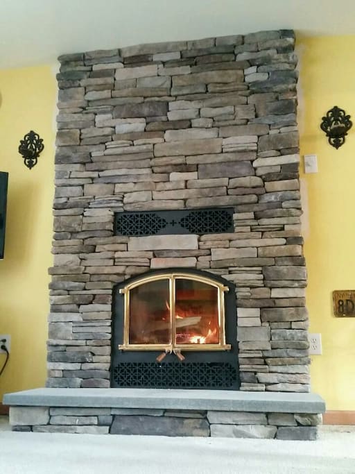 Fireplace insert, the most amazing place to gather in winter.