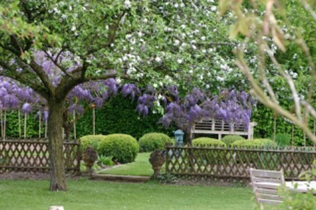 Le jardin en fleur