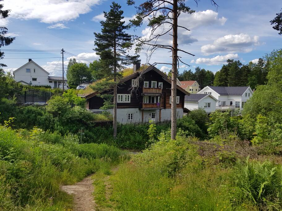 As seen from the deep woods of Konnerud.