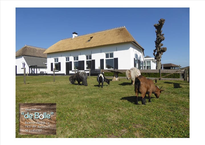 Vacation home ''De Bolle''