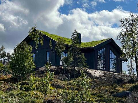 Amazing mountain cabin