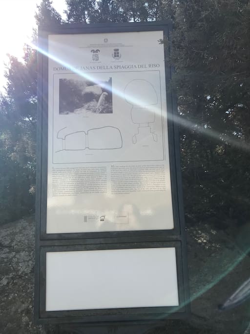 Descrizione del sito archeologico