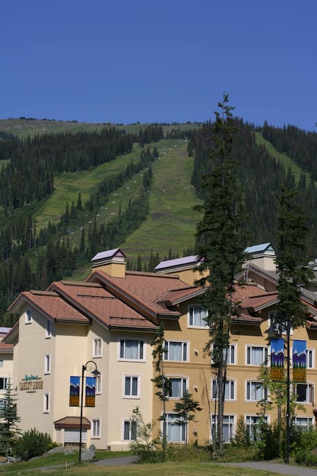 View of the slopes in the summer