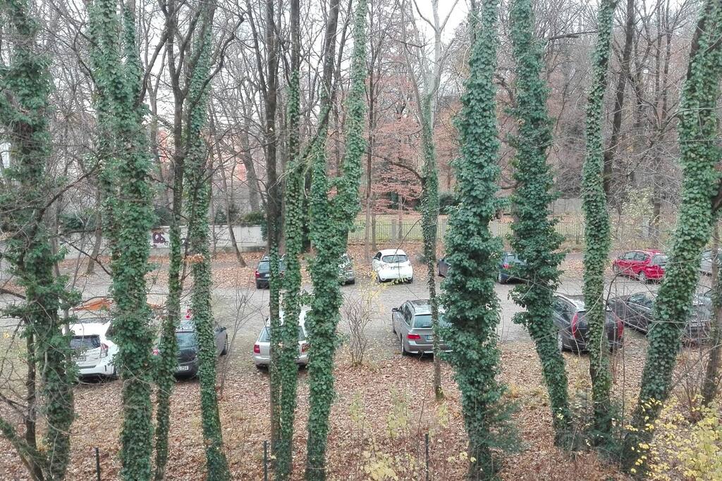 Window View