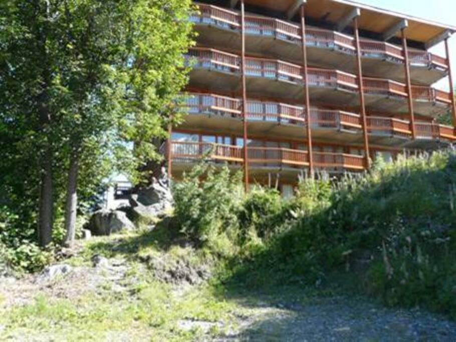 le studio est au rez de chaussée du chalet Irène