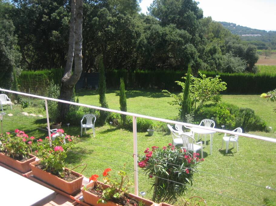 garden