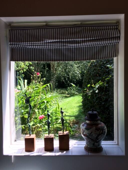 View down garden