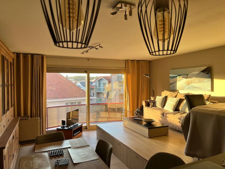 Agréable Appartement Ensoleillé Et Bien Situé - De Haan