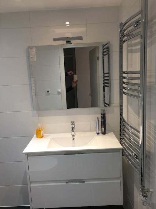 Main bathroom (within main bedroom)
