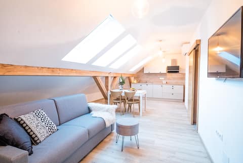 Successful Airbnb property: Hiša 109 BIKE- apartment on the ski area in Podkoren