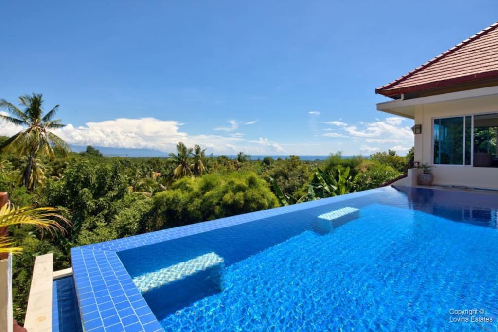 Pool & Ocean View