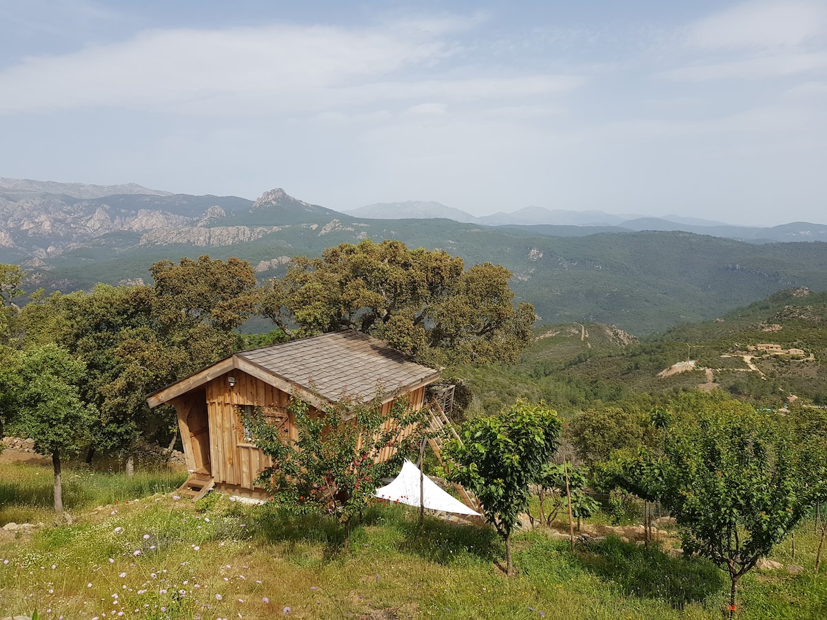 A cabin sits amidst a scenic landscape, with rolling hills and distant mountains visible in the background. Surrounding greenery, including trees and shrubs, complements the natural setting. The structure features wooden cladding and a sloped roof, blending harmoniously with the environment.