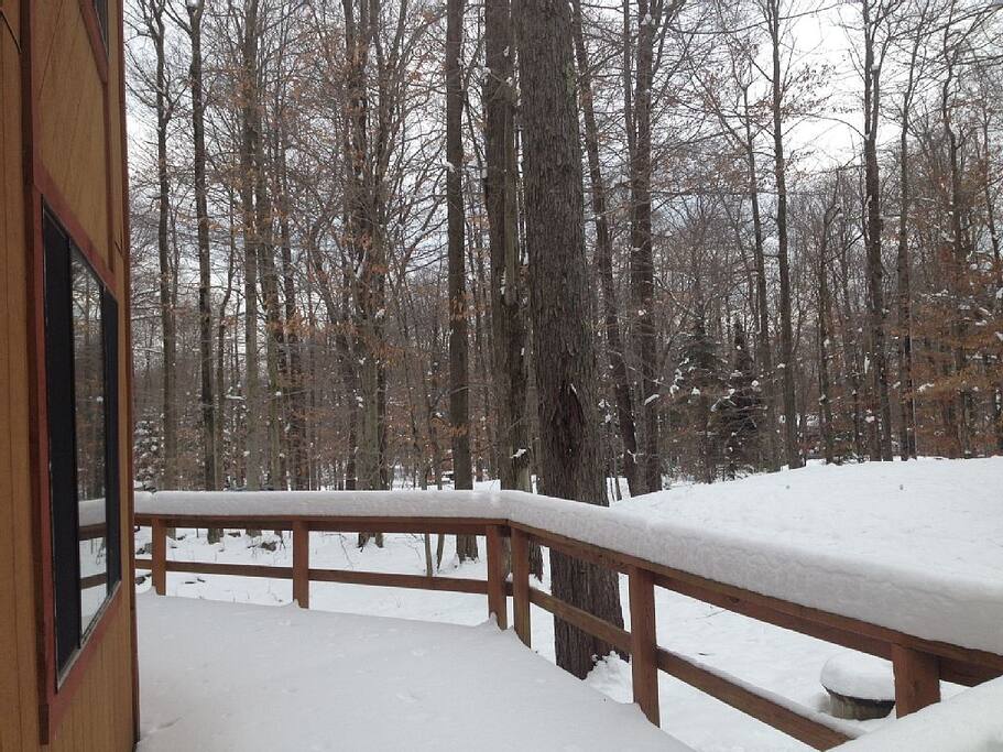 Snow View - Winter