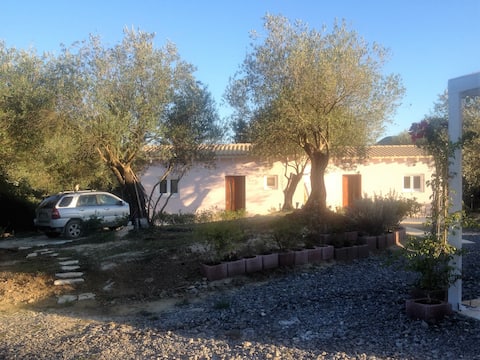 B-holidayhome matthaeus -3P Corfutrail, 2km to sea