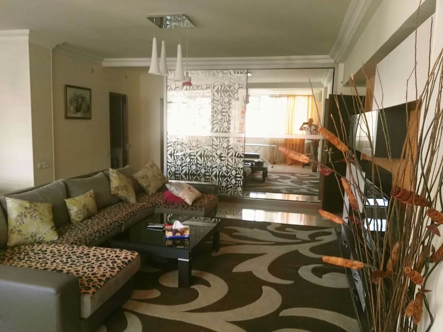 Living room, sofa convertable into double bed!!!!