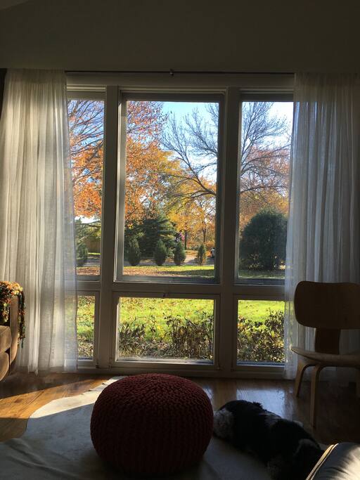 View from living room
