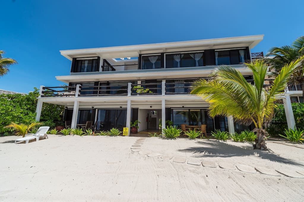 Beachfront Palapa