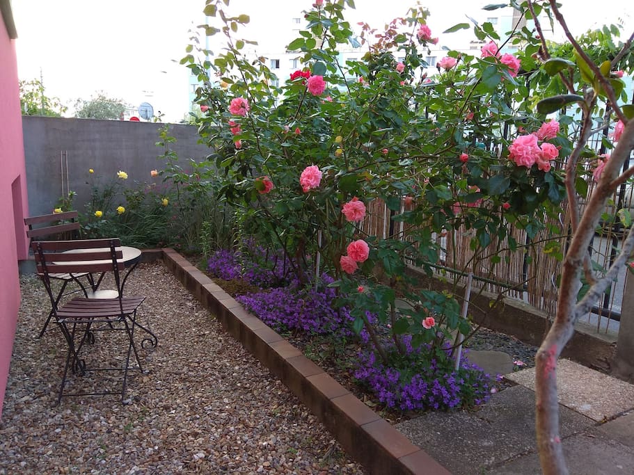 Un jardinet fleuri